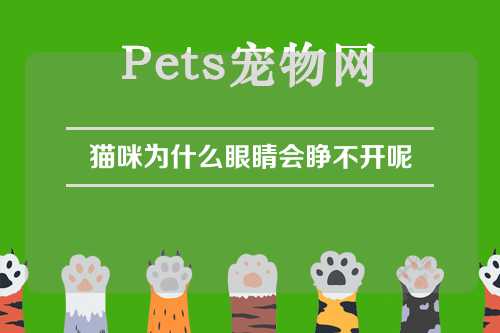 猫咪为什么眼睛会睁不开呢