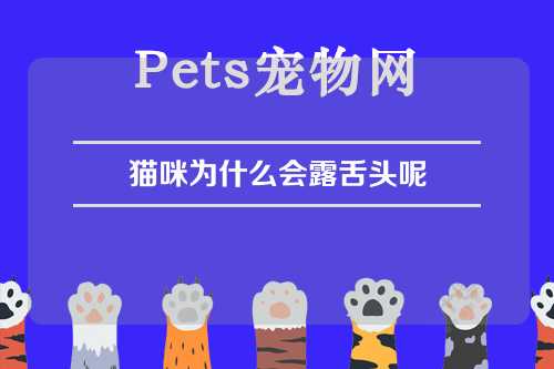 猫咪为什么会露舌头呢