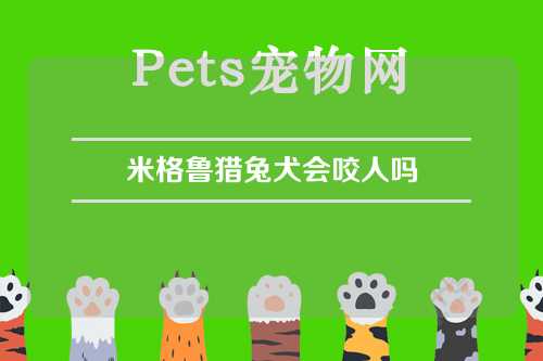 米格鲁猎兔犬会咬人吗