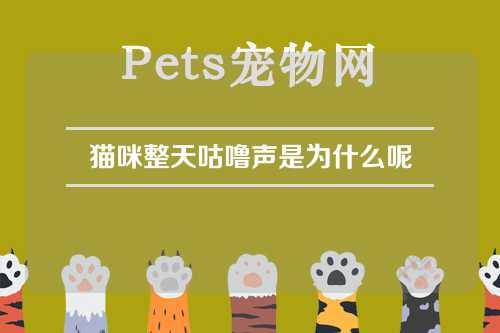 猫咪整天咕噜声是为什么呢