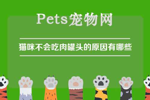 猫咪不会吃肉罐头的原因有哪些