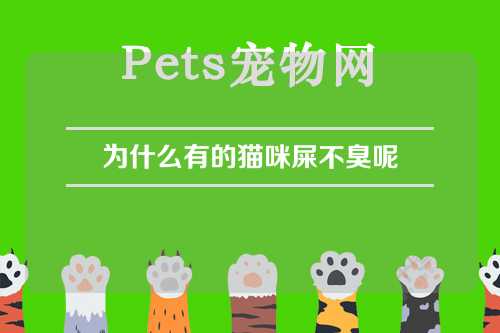 为什么有的猫咪屎不臭呢